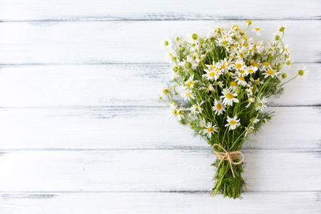 raw.image.alt.camomile raw.image.alt.camomile
