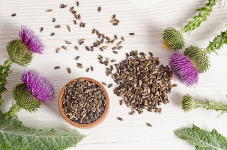 raw.image.alt.seeds raw.image.alt.seeds
